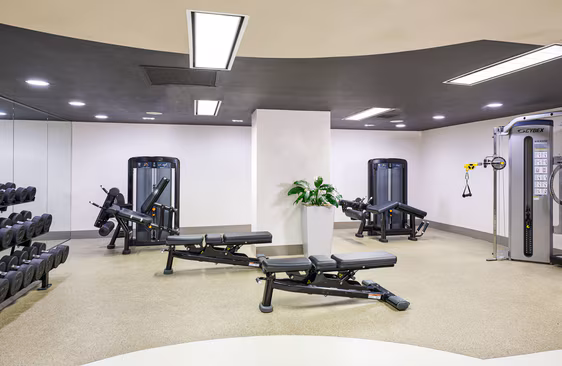 Free Weights & Strength Training